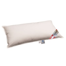 betten-traum-land 100% Canadian Goose Down Pillow Soft with 400 g Filling Weight 40 x 80 cm