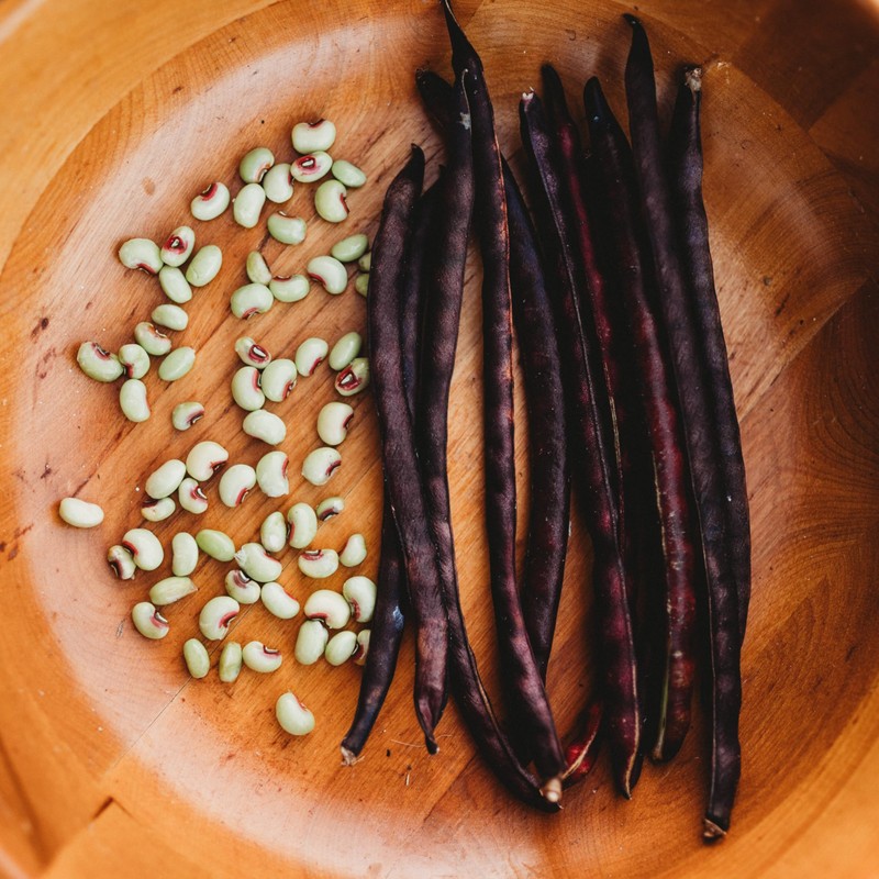 Pink-Eyed Purple Hull Cowpea - 50 Seeds - Heirloom Variety,