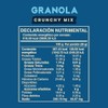 Wild Protein | Granola Crunchy Mix | 250 g |