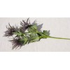 Qingriver 6 Sets Artificial Eryngium Foetidum Flowers Plants Thistle Spray