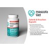 mascota Vet - Joint Capsules - Natural Support for Dogs