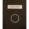 SATA MiniJet 3000 B/ MiniJet 4 Air Cap Seal Ring