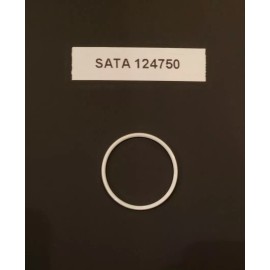 SATA MiniJet 3000 B/ MiniJet 4 Air Cap Seal Ring (124750)  OEM!!