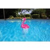 Poolmaster 32123 Flamingo Chlorine Dispenser, Pink