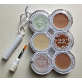 HARD CANDY NOBODY'S PERFECT CONCEALER PALETTE ~ Medium #134 ~ Sealed!