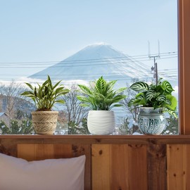 AIBIIN 3D Potted Plant Window Stickers Removable PVC Green Leaves Static Window Decal Anti Collision Glass Window Decals