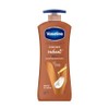 Vaseline Intensive Care Body Lotion Cocoa Radiant (1 x 600