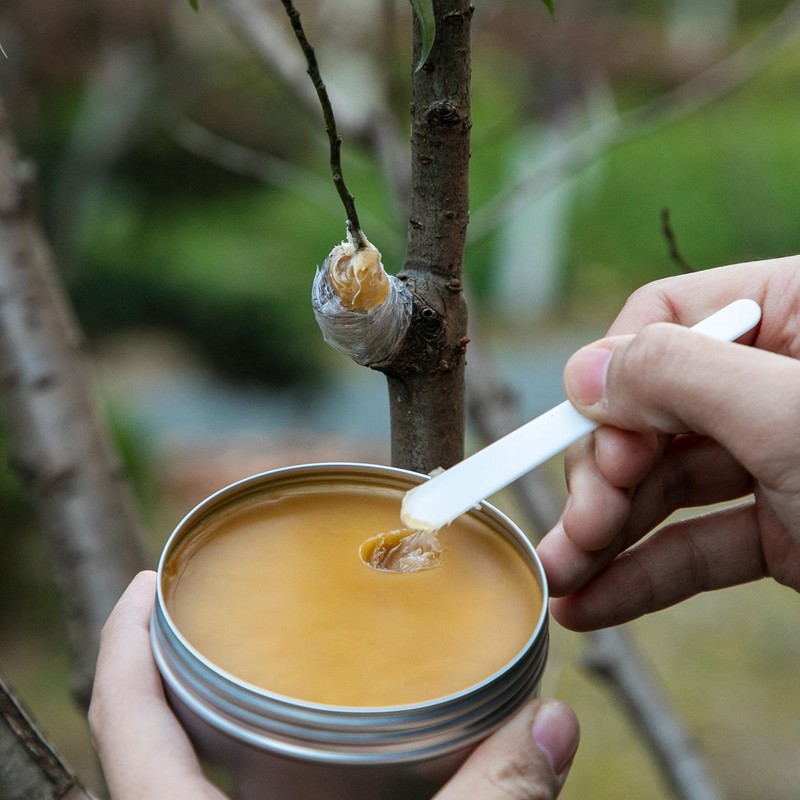 Shupakul Tree Grafting Wax Set, Tree Wound Pruning Sealer with