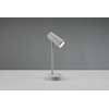 Reality Leuchten Lenny R52661111 LED Desk Light Plastic Grey with
