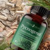 Pine Bark Extract High Dose - Original Pycnogenol - with