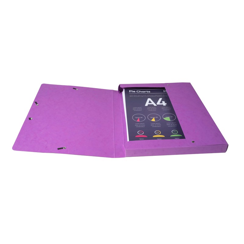 Exacompta 50300E Premium Collection Box Assembled with Elastic Band, 25