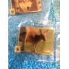 WWF World Wide Fund for Nature COLLECTIBLE PIN SET OF
