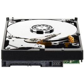WD30EZRX Western Digital Caviar Green Hard Drive WD30EZRX