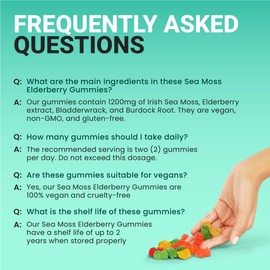 BIO VITALICA Sea Moss Gummies Elderberry BioVitalica - Vitamin C D + Zinc - Irish Seamoss Vegan Gummy with Sea Moss Gel & Powder for Immunity, Detox - for Adults and Kids