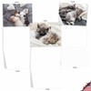 The Best Card Company Cuddling Cats - 20 Assorted Boxed