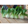KIRA SEEDS - Seeds Bok Choy Chinese - Green Cabbage