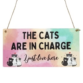 Second Ave Funny The Cats Are In Charge Wooden Hanging Rectangle Home Sign Plaque