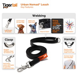 Tiger Tail 4FT Sky Blue Premium Coated Nylon Dog Leash for Large Medium & Small Dogs - Waterproof and Odor Proof, Alternative-Leather Lead | Sky Blue, 4ft