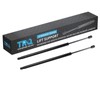 TRQ Driver & Passenger Side Liftgate Lift Support Shock Strut