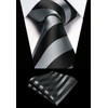 HISDERN Men's Tie Striped Wedding Tie & Pocket Square Set,