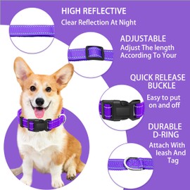 Maiiu Reflective Dog Collar with Safety Locking Buckle, Adjustable Soft Breathable Nylon Collars for Small, Medium and Large Dogs(Collar+Leash XS Width 5/8" Purple)