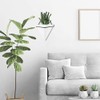 2 x Hanging Flower Pot, Flower Pot, Wall Decoration, Wall