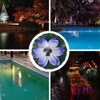 Floating Lotusing Light, Floating Pool Lights, Solar Pond Pool Lights,