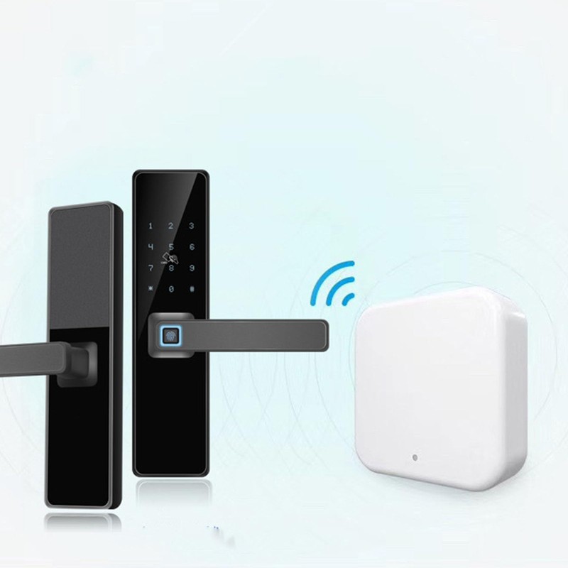Gateway, 2.4G Gateway Smart Door Lock Remote Voice Control Real