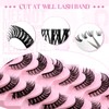 FADLASH False Eyelashes 10 Pairs Faux Mink Lashes Wispy Fake
