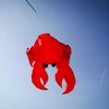 In the Breeze 5230 — Crab Big Breeze Windsock™ —