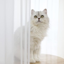 Window White Sheer Curtains 145 Inches Long 2 Panels Sheer White Curtains Clear Curtains Basic Rod Pocket Panel other Beige Grey Purple Pink 63 72 95 108 Inch Bedroom Children Living Room Yard Kitchen