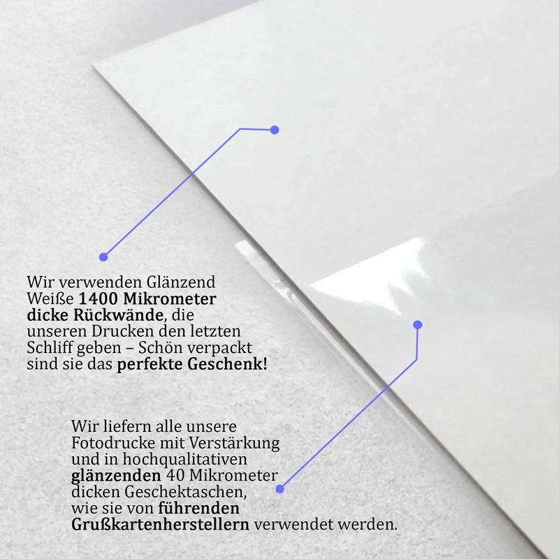 HWC Trading Hulk Hogan A4 Ungerahmt Signiert Gedruckt Autogramme Bild