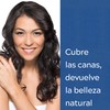 Lady Grecian 5, Tinte Colorante en Shampoo Cabello Maltratado Paquete