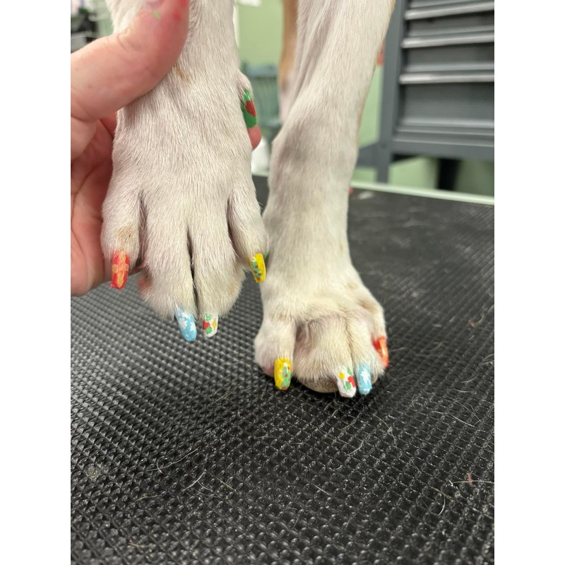 Pet Nail Polish Wraps