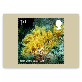 Royal Mail WILD COASTS, COLD-WATER CORAL REEF, ORIGINAL ROYAL MAIL POSTCARD, YEAR 2021