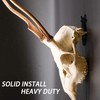 European Mount Skull Hanger, VMSIXVM Skull Hooker Deer Skull Mount