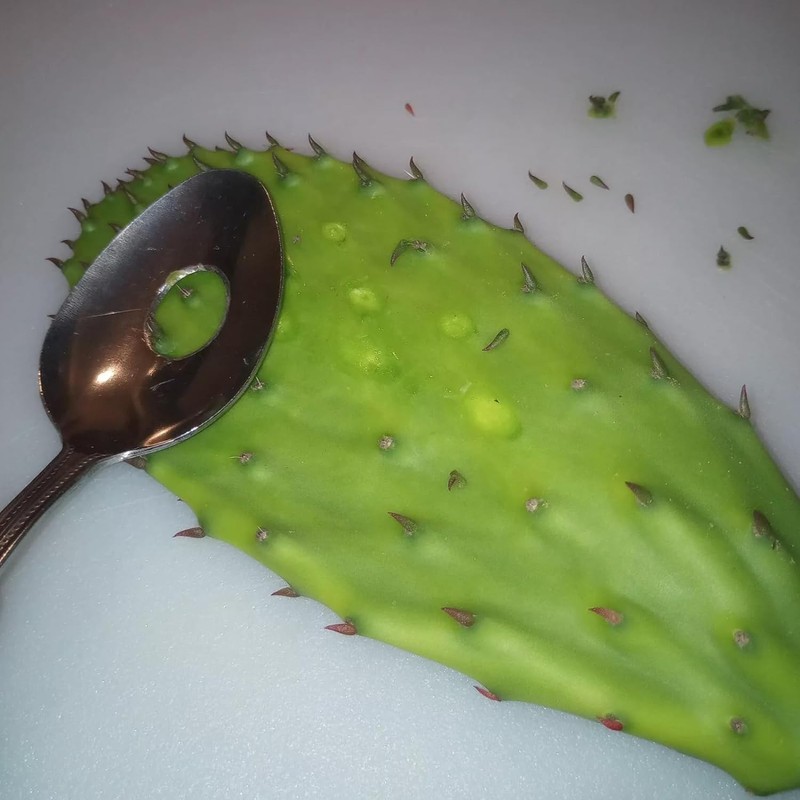 2Pcs Cactus Peeler Spoon, Stainless Steel Rice Meat Dumplings Spoon