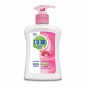 Dettol Q 데톨 핸드워시 스킨케어 250ml Q Detol Hand Wash Skincare 250ml