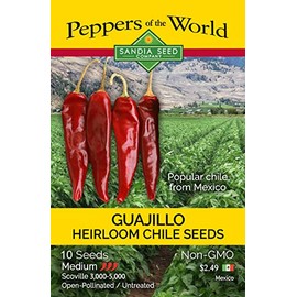 Guajillo Pepper Medium Hot 10 Seeds - Rare and Non-GMO - Easy to Grow