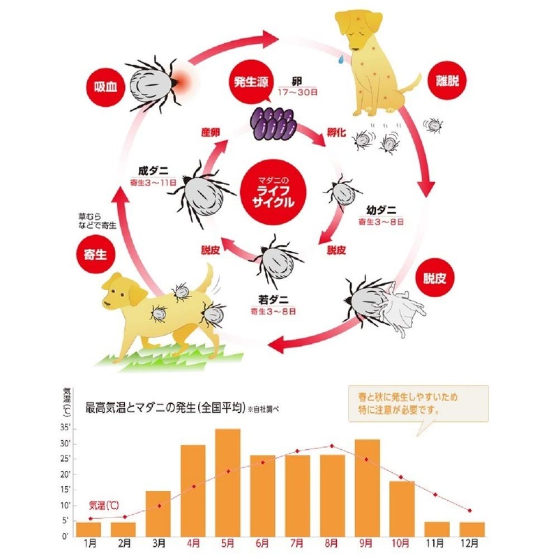 アース・ペット 薬用ショットオン 猫用 0.8g 1本入り