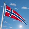 FLAGLY Premium Long Bunting Norway 115 g/m² Fabric Weight, Robust