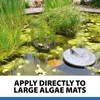 CrystalClear AlgaeOff Pond & Water Garden Scum Cleaner, Waterfall &