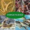 Trampa de peces trampas de minnow para cebo trampa de
