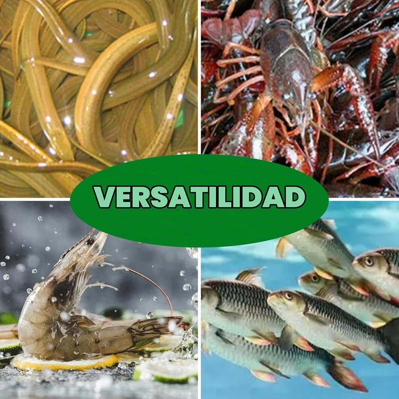 Trampa de peces trampas de minnow para cebo trampa de