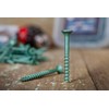 Timber Wolf Exterior Wood Screws - Mini Case Assortment -