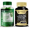 WELLNESS LABSRX Lions Mane Supplement Capsules - Sea Moss Gummies