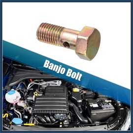 INFINAUTO 2 Set Banjo Bolt Brake Fitting Adapter Kit M8x1.25 Brake Line Thread Banjo Bolt with 8mm Spacers Stylish Design