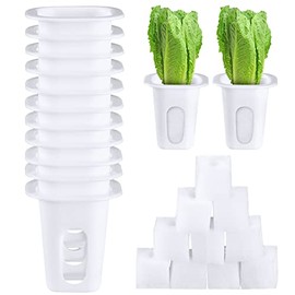 Hoolerry Hydroponics Growing System Kit - 100 Pieces for Indoor Gardening