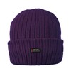 RockJock Ladies Womens Warm Winter Lined Beanie Hat with R40