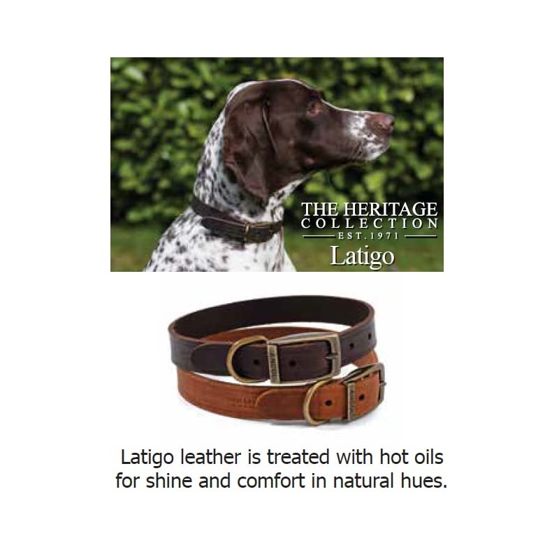 Ancol Latigo Flexible Stretchy Dog Collar Chestnut Leather Pet Training